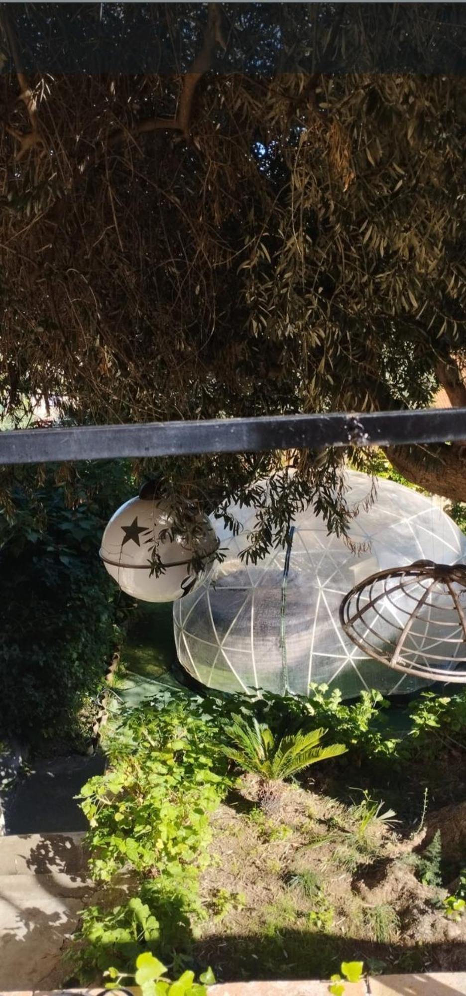 Relais Dei Mori Home Palermo 카스텔다치아 외부 사진